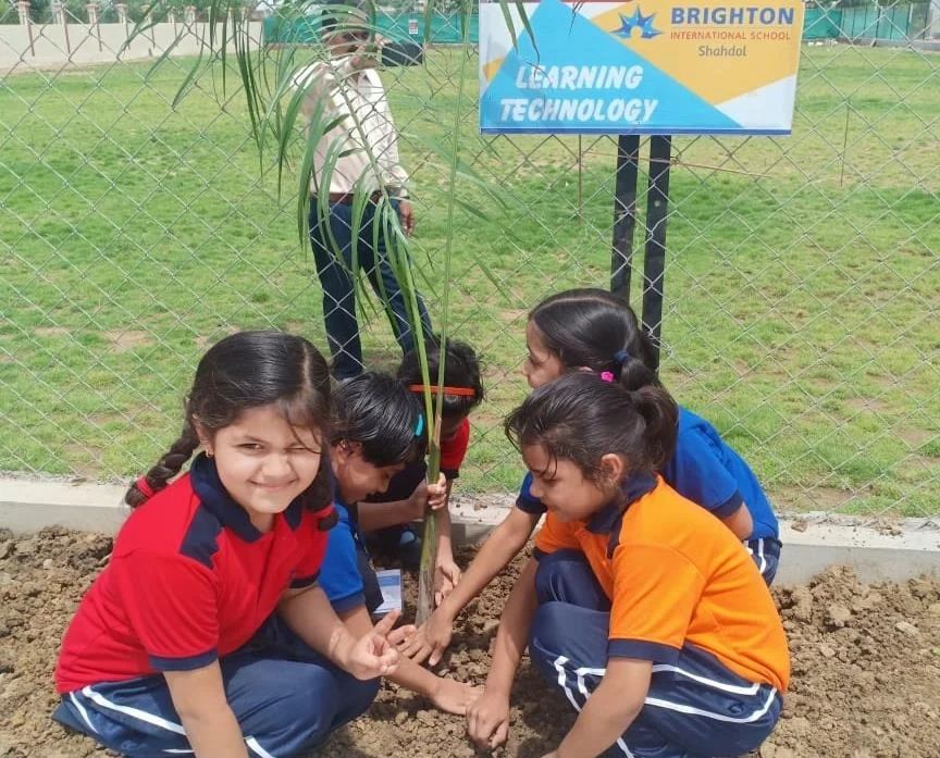 Brighton International School